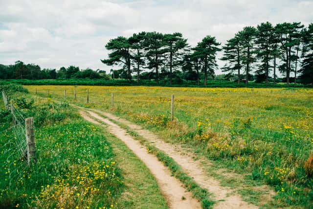 Walk near Milton Keynes named one of the UK’s most beautiful