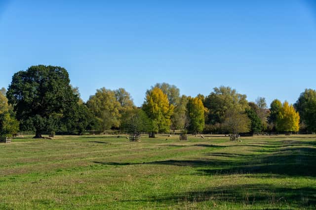 Ridge and Furrow fields in Woughton on the Green