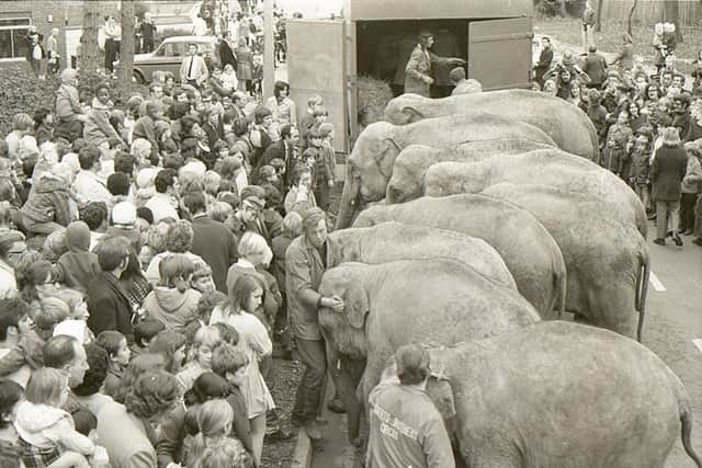 When elephants came to town, November 1972