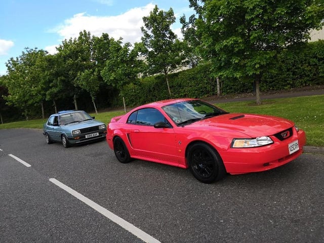 The Mustang