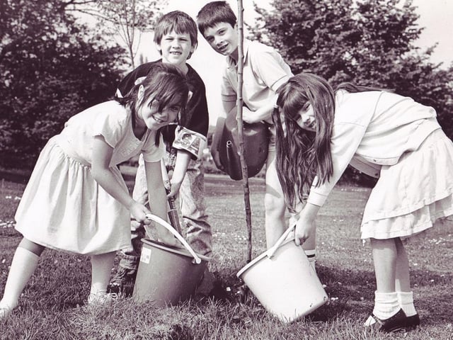 Shepherds Well First School, Springfield, tree planting