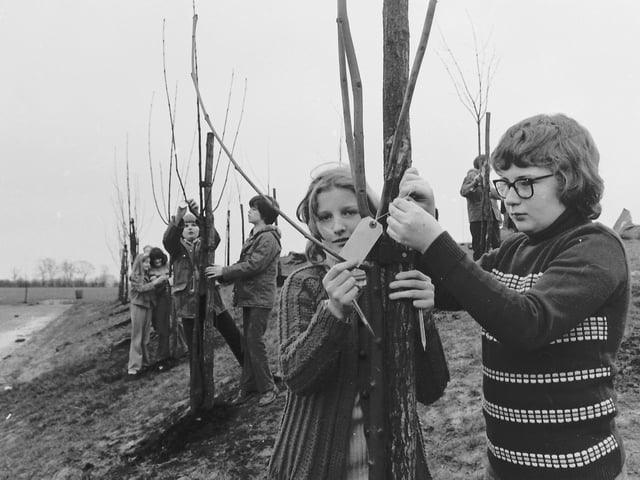 Children tree planting at Water Hall School in the late 1970s