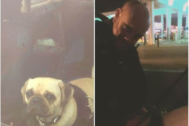The car - and pug - was eventually found by police
