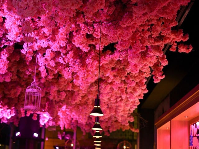 Pictures show inside MK's newest bar, Blossom Room