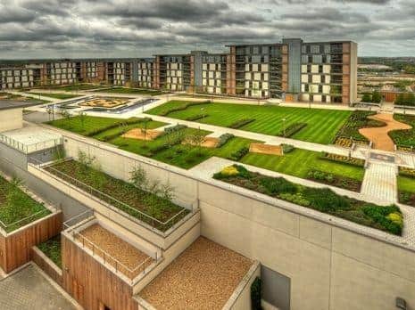 There will be more green roofs