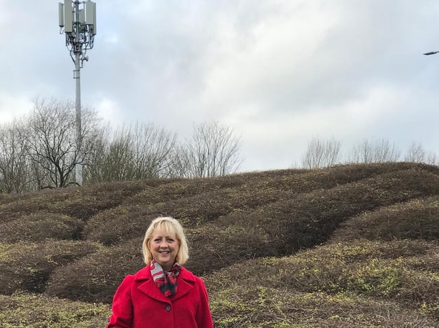 Councillor Nolan near the mast