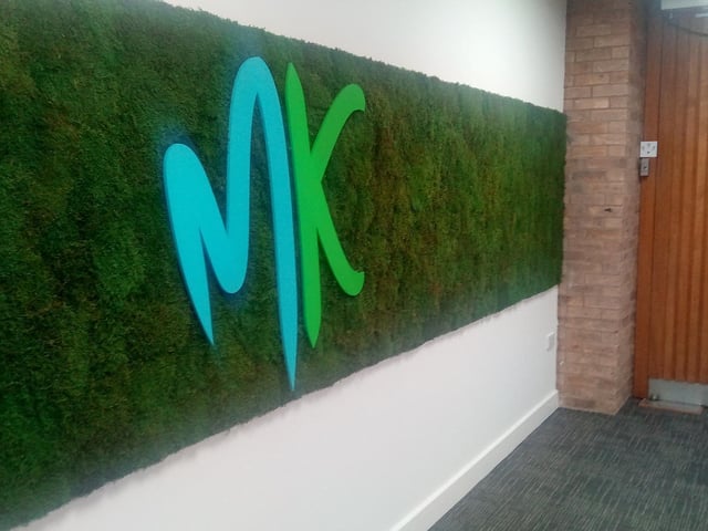 One of the panels of wall moss upstairs at the civic offices