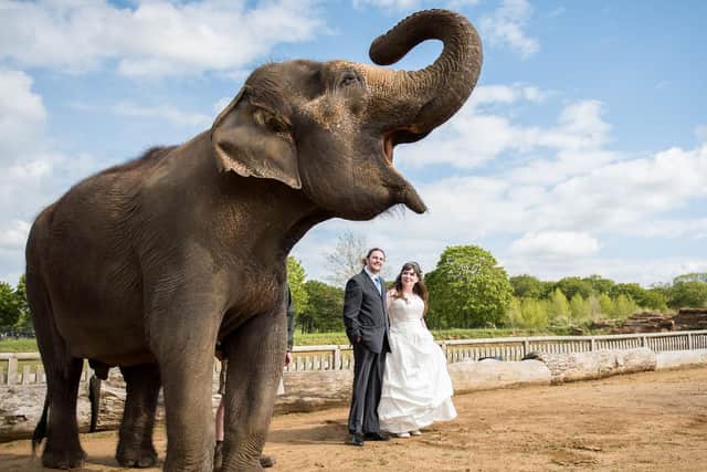 Kirsty and Michael's wedding at Woburn Safari Park (Picture: Fiona Kelly Photography)