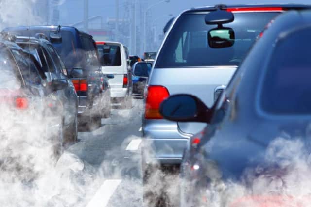 Traffic pollution is also to blame