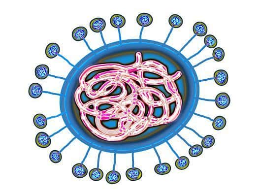 The coronavirus under a microscope (Getty)