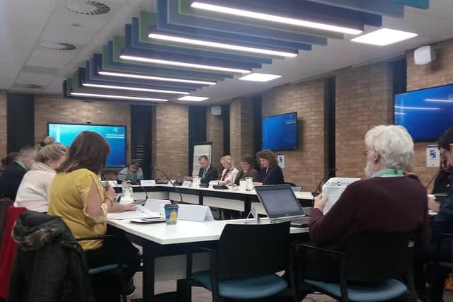 The children and young people scrutiny committee