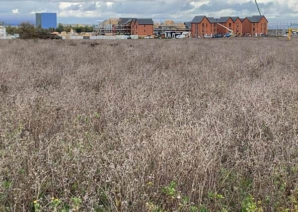 The site of the new school development in Glebe Farm in South East Milton Keynes.