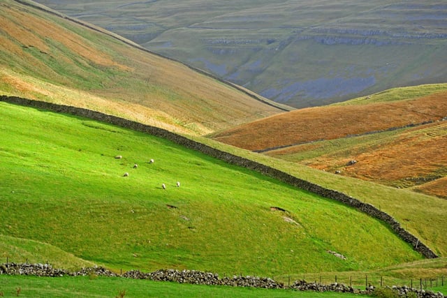 Cowside, the sweeping landscape between Malham and Arncliffe, where parts of Skeldale House is filmed, is true Herriot country.