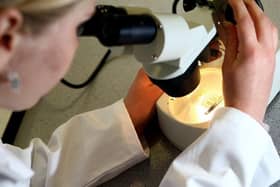 A smear test is analysed
