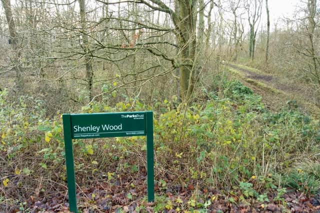 Shenley Wood