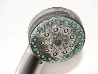 Limescale clogs up shower heads, boilers and appliances in MK