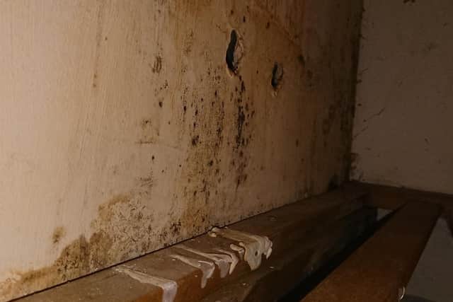 Mould grows on the walls