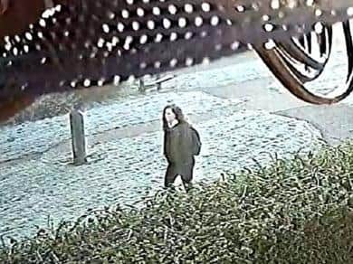 One of the sightings on CCTV