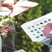Learn about trees in the Festival of Nature