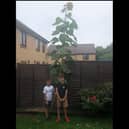 Theo and Rowan with their giant sunflower
