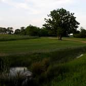 The brook at Tattenhoe Valley park