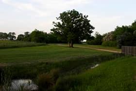The brook at Tattenhoe Valley park