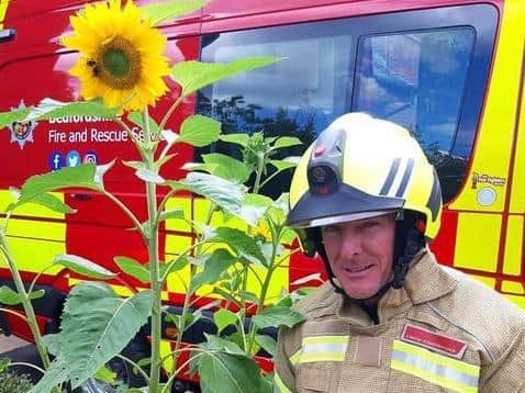 The firefighters nurtured their sunflower seeds for weeks