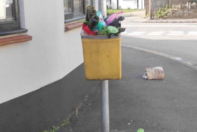 The bin in Silver Street is a normal waste bin but dog owners have been putting their dog's faeces in and around it