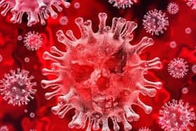 MK has recorded five new cases of coronavirus