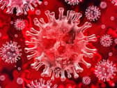 MK has recorded five new cases of coronavirus