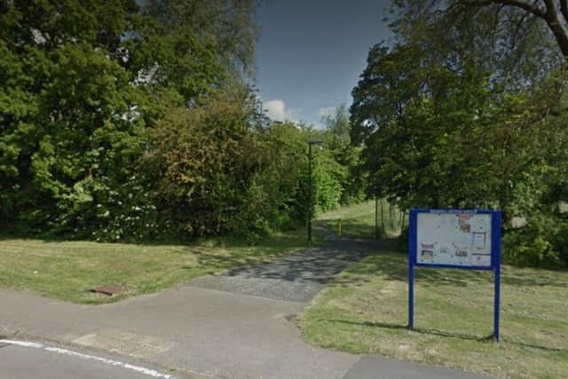 The only play area in Medale Road is in Tin Man Park. Photo: Google Maps