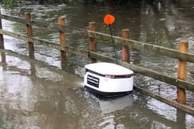 This little robot got stuck in floodwater