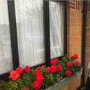 John's daughter talks to her nan from behind the closed curtains