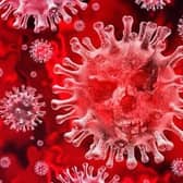 MK has recorded 28 new cases of coronavirus