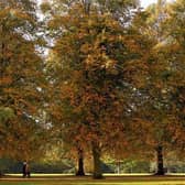 Nearly two thirds of Milton Keynes neighbourhoods have good access to green spaces, new figures show.