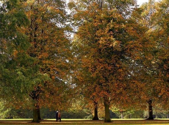 Nearly two thirds of Milton Keynes neighbourhoods have good access to green spaces, new figures show.