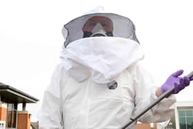 Pest Control has been called in