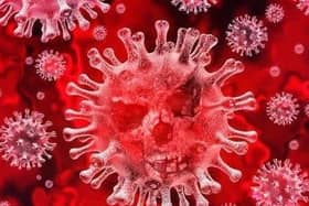 There were 226 new cases of Covid in MK over the weekend