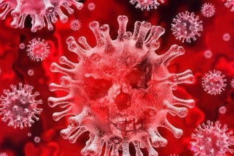 There were 226 new cases of Covid in MK over the weekend