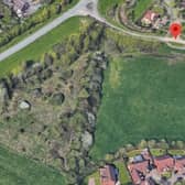 Much of the site is currently hedges and bramble