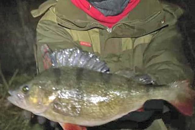 Andy Garner's 2lb+ Olney Ouse perch