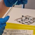 A Covid vaccine is carefully prepared. The timing is crucial