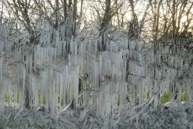 Police took this photo of stunning icicles formed by cars splashing through puddles
