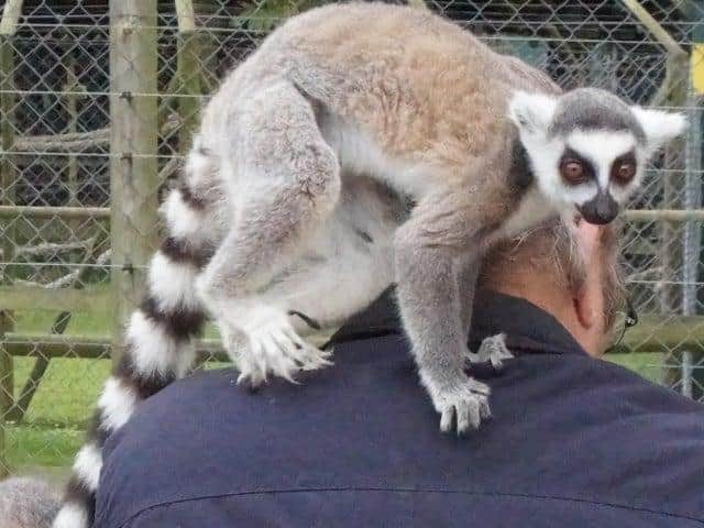 Exotic Pets on the rise in Milton Keynes are you living next door to some  of the world's deadliest creatures? | Milton Keynes Citizen