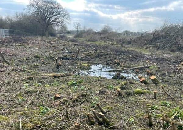 Scenic woodland has been ripped up, say residents