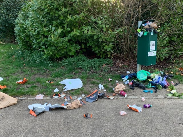 The dog poo bin was overflowing