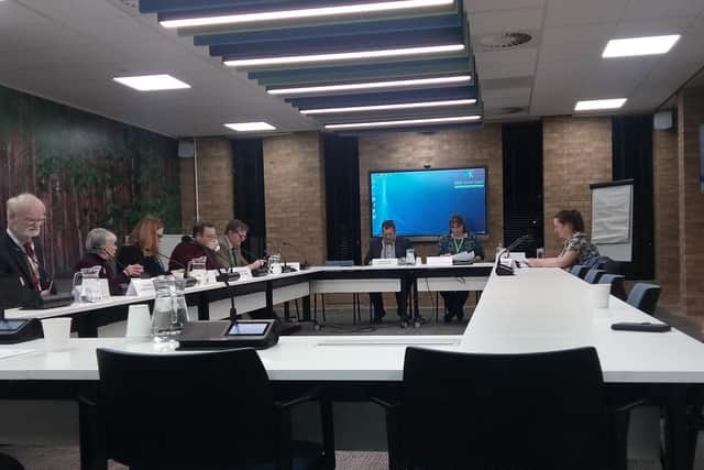 Wednesday's meeting of the placemaking scrutiny committee