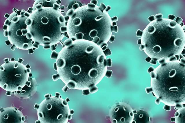 Covid-19 virus
