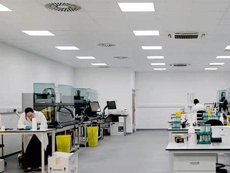 Inside the lab