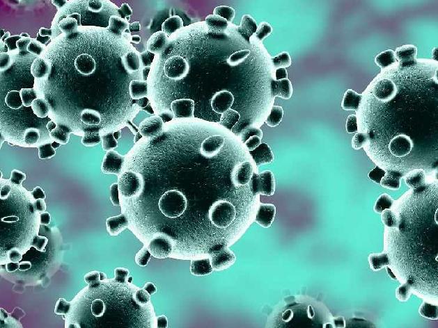 Care Home Luton Coronavirus Deaths